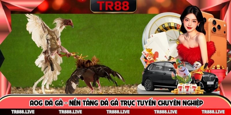 AOG Đá Gà - Nền Tảng Đá Gà Trực Tuyến Chuyên Nghiệp