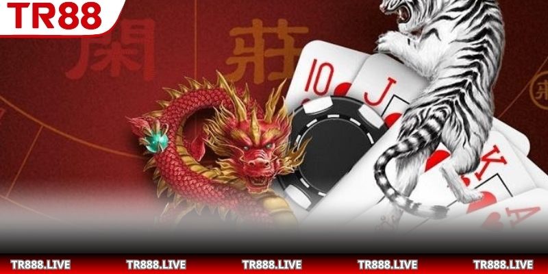 Cách soi cầu rồng hổ để đọc xu hướng chuẩn