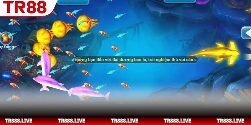 Hỏa lực mạnh mẽ tạo ưu thế săn cá nhanh